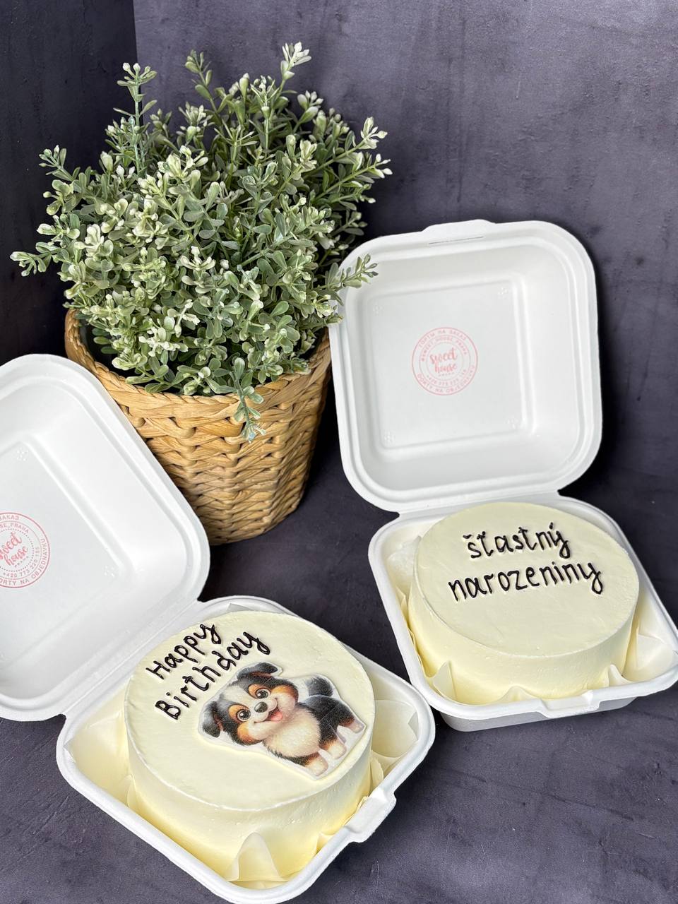 Bento dorty 12