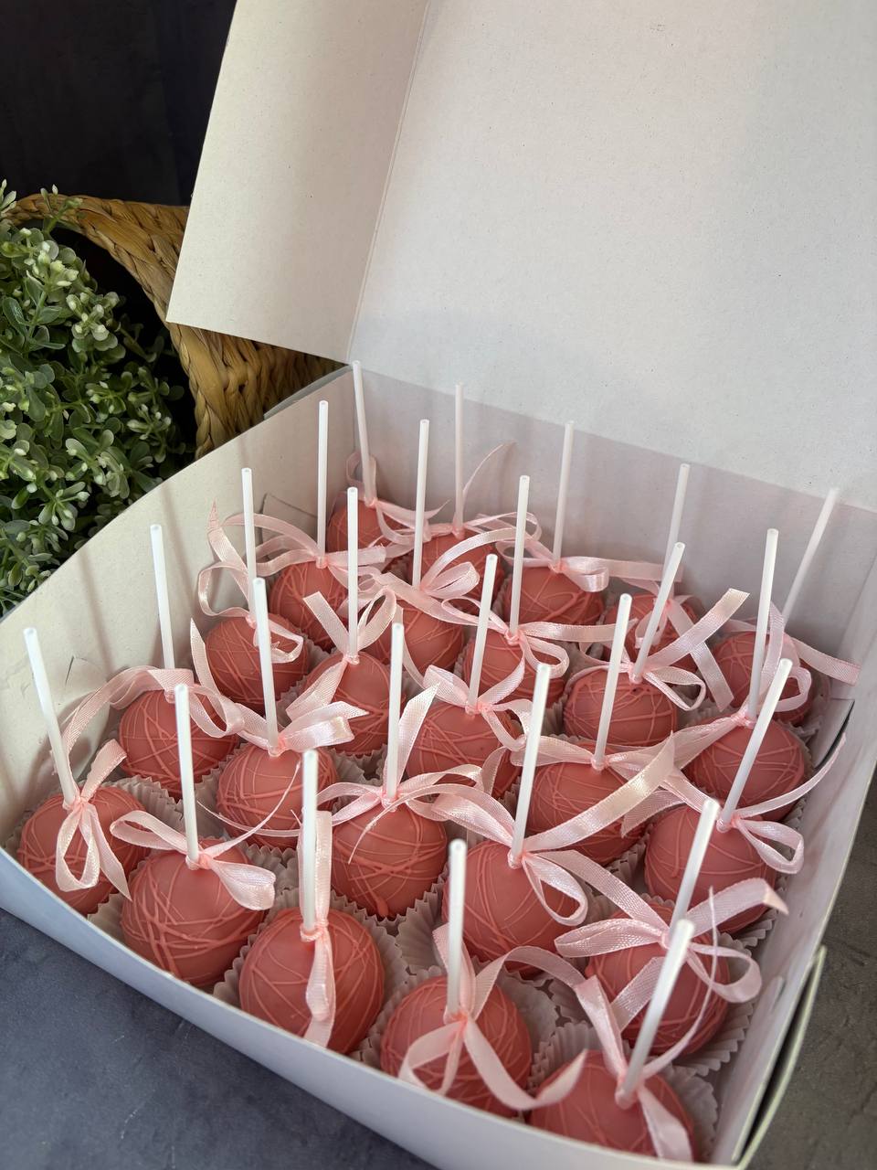 Eskimo a cake pops 3