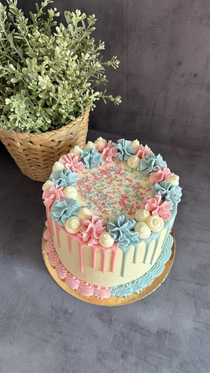 Gender reveal dorty 7